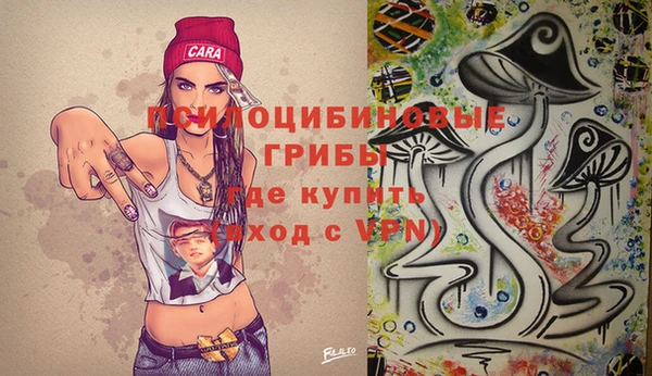 винт Алексеевка